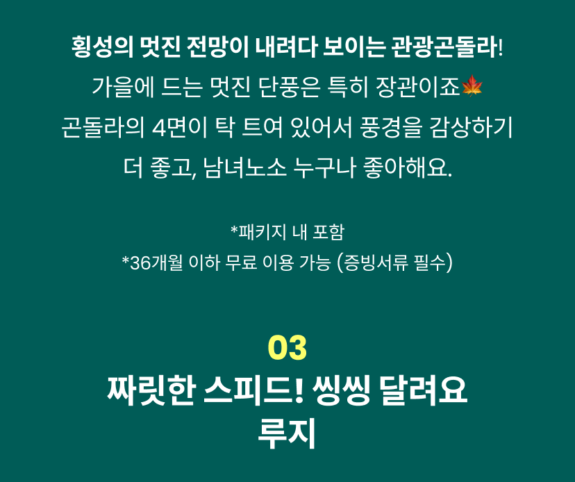 웰리힐리 5.png